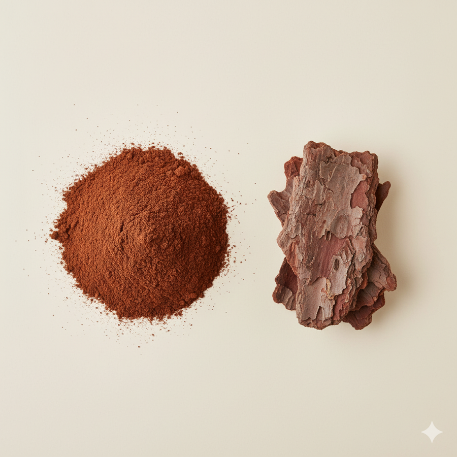 Maritime Pine Bark Extract